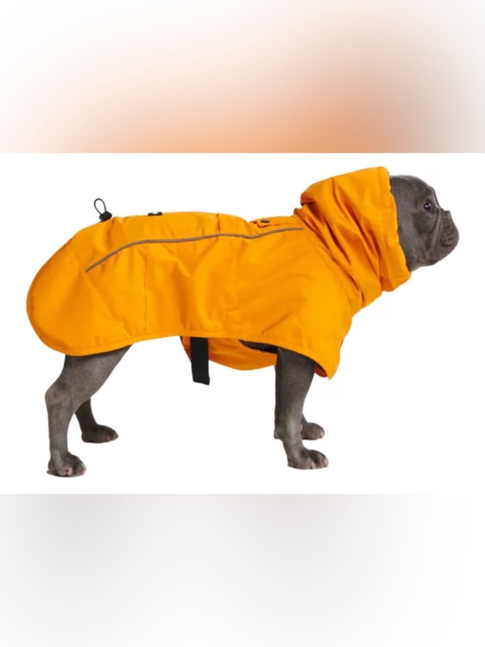 Spark Paws | Dog Waterproof Windproof Raincoat  Mustard Yellow size large